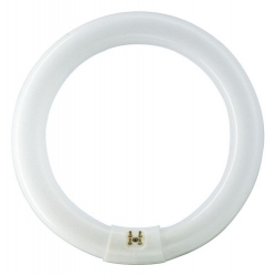 Świetlówka kołowa do lampy BN-205/208