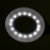 Lampka ring led snake na biurko biała