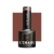 OCHO NAILS Lakier hybrydowy autumn A05 -5 g